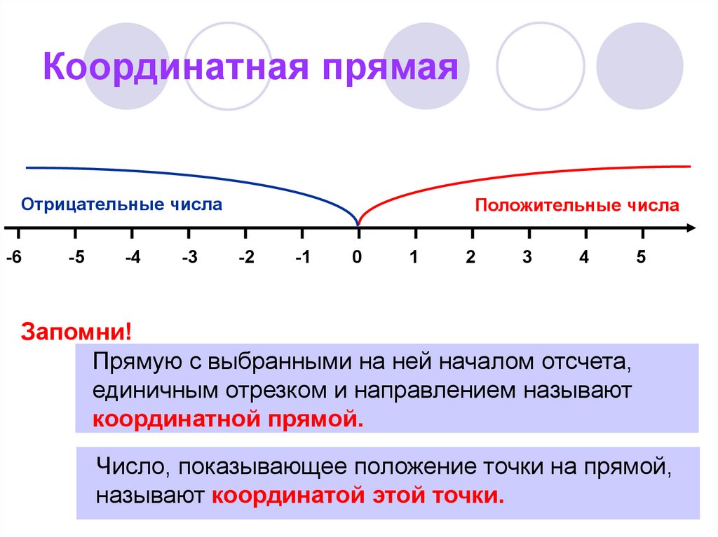 Модель координатной прямой. Изображение числа на числовой прямой.. Координатный Луч с отрицательными и положительными числами. Координатная прямая с отрицательными числами. Координатная прямая целые числа.