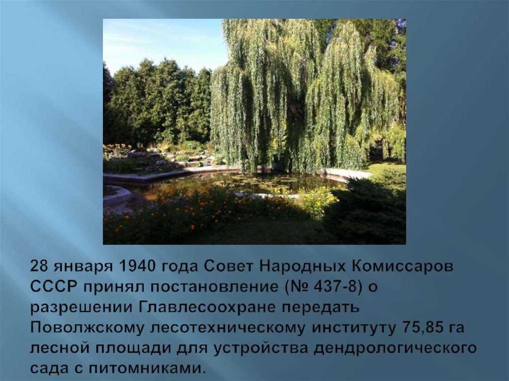 28 января 1940 года Совет Народных Комиссаров СССР принял постановление (№ 437-8) о разрешении Главлесоохране передать
