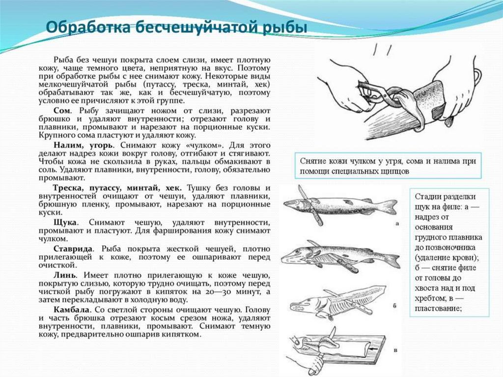 Составьте схему обработки мелкой чешуйчатой рыбы кратко