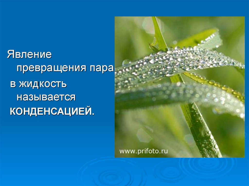 Явление превращения жидкости. Явление превращения жидкости в пар называется. Явление превращения пара в жидкость называется. Явление превращения пара в жидкость. Процесс превращения пара в жидкость.