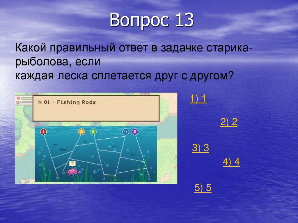 Вопрос 13
