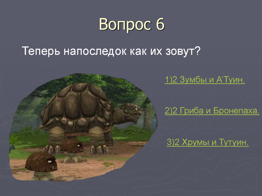Вопрос 6