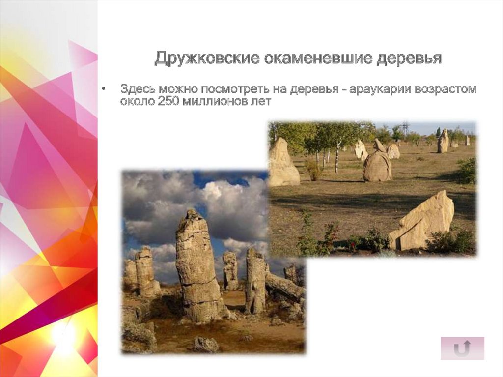 Дружковские окаменевшие деревья