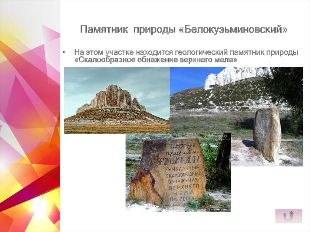 Памятник природы «Белокузьминовский»