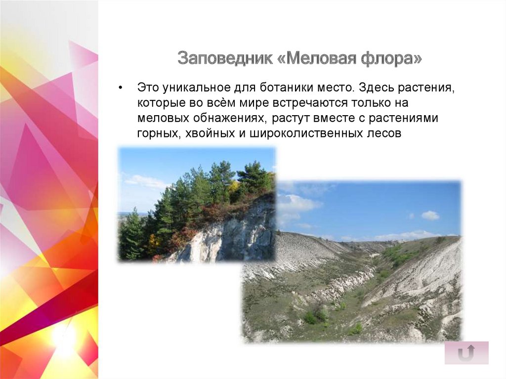 Заповедник «Меловая флора»