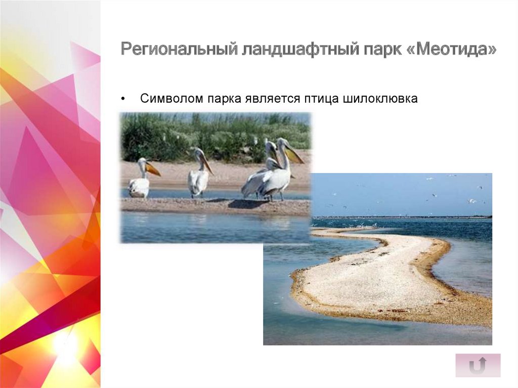 Региональный ландшафтный парк «Меотида»