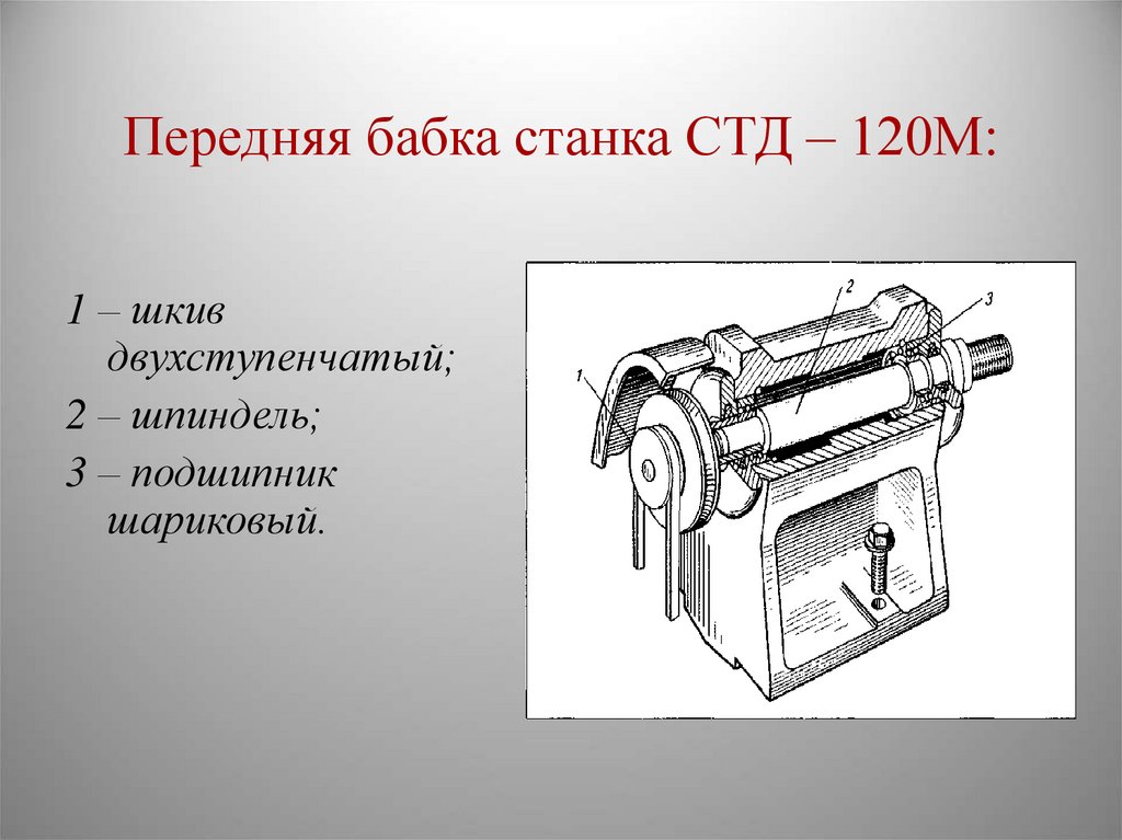 Передняя бабка станка СТД – 120М: