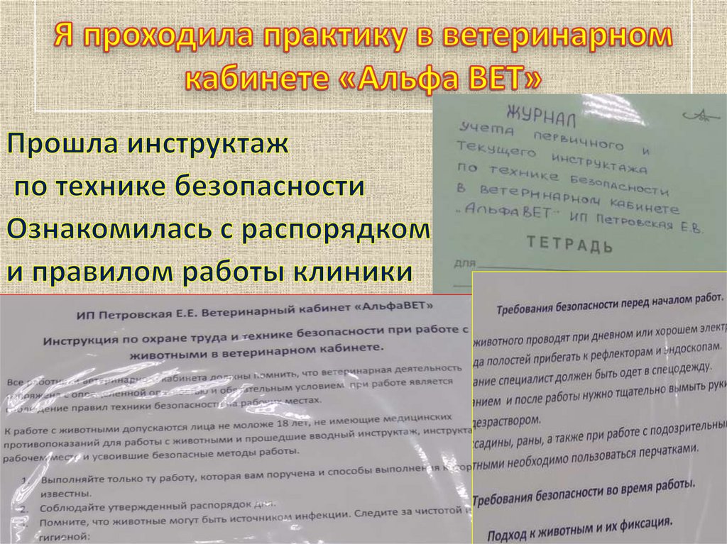 План диагностических исследований ветеринарно профилактических и противоэпизоотических мероприятий