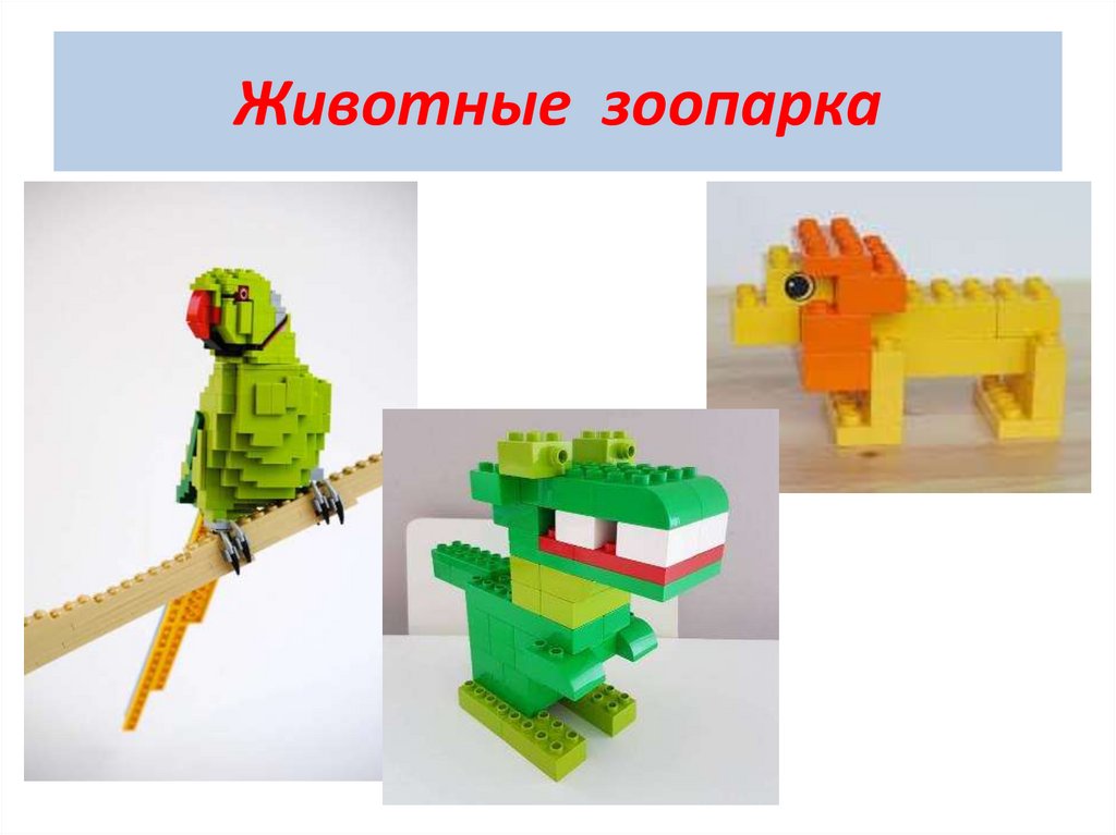 Животные зоопарка