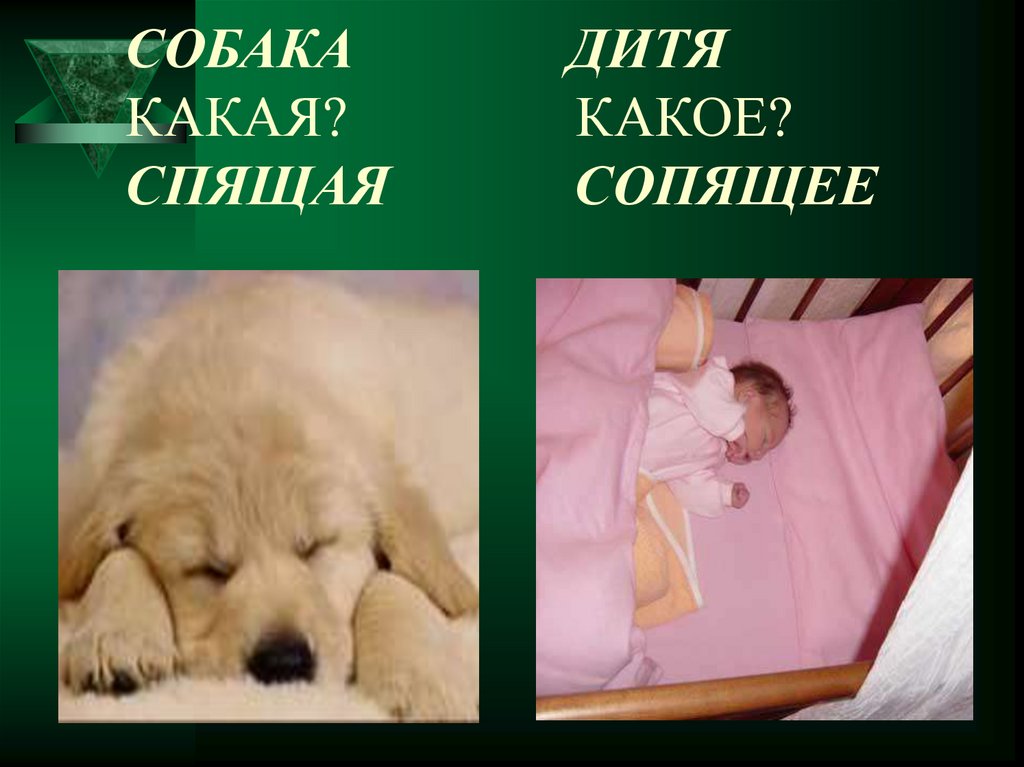 Спишь какое лицо. Приятно полоскать поласкать дитя или собаку.