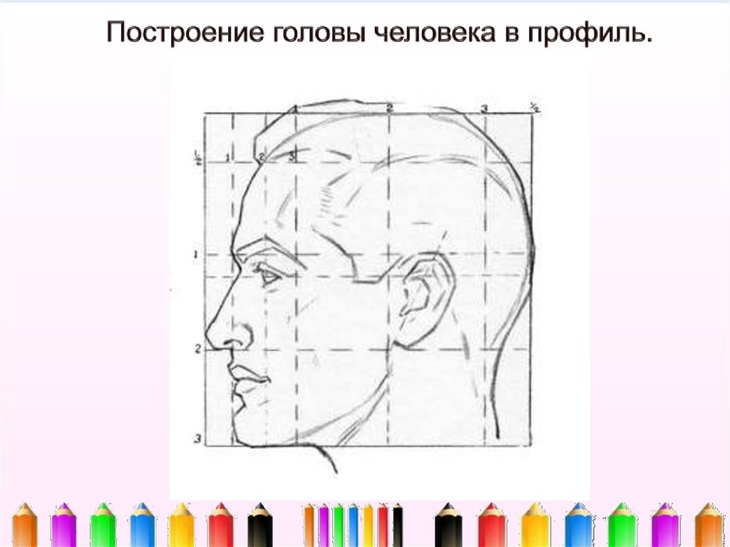 Изо 6 класс. Изображение головы человека в пространстве. Изображение головы человека в профиль. Построение головы человека в профиль. Рисование головы человека в пространстве.