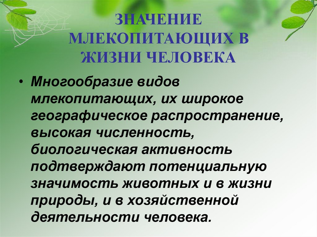 Роль млекопитающих в природе и жизни человека план конспект