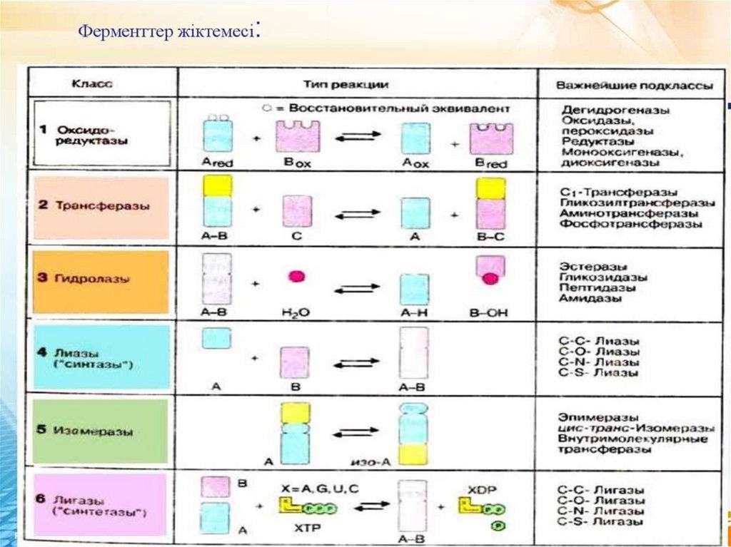 Ферменттердің медицинада химияда және өнеркәсіпте қолданылуы презентация