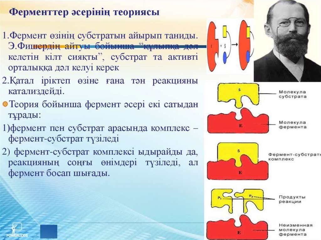 Ферменттердің медицинада химияда және өнеркәсіпте қолданылуы презентация