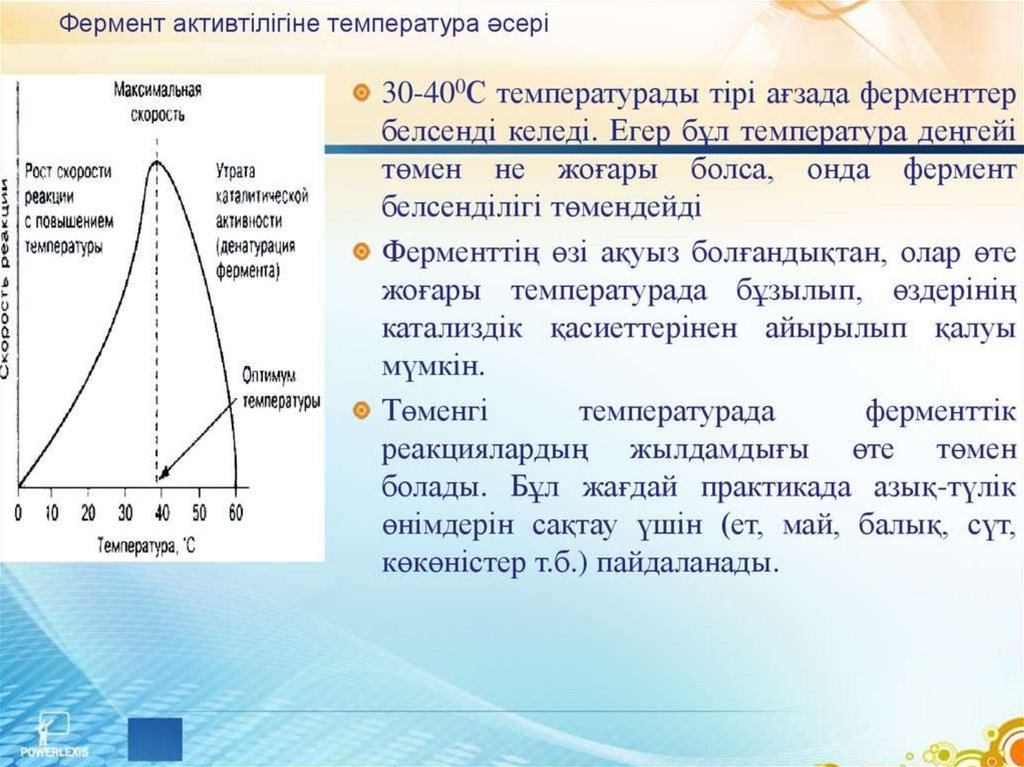 Ферменттердің медицинада химияда және өнеркәсіпте қолданылуы презентация