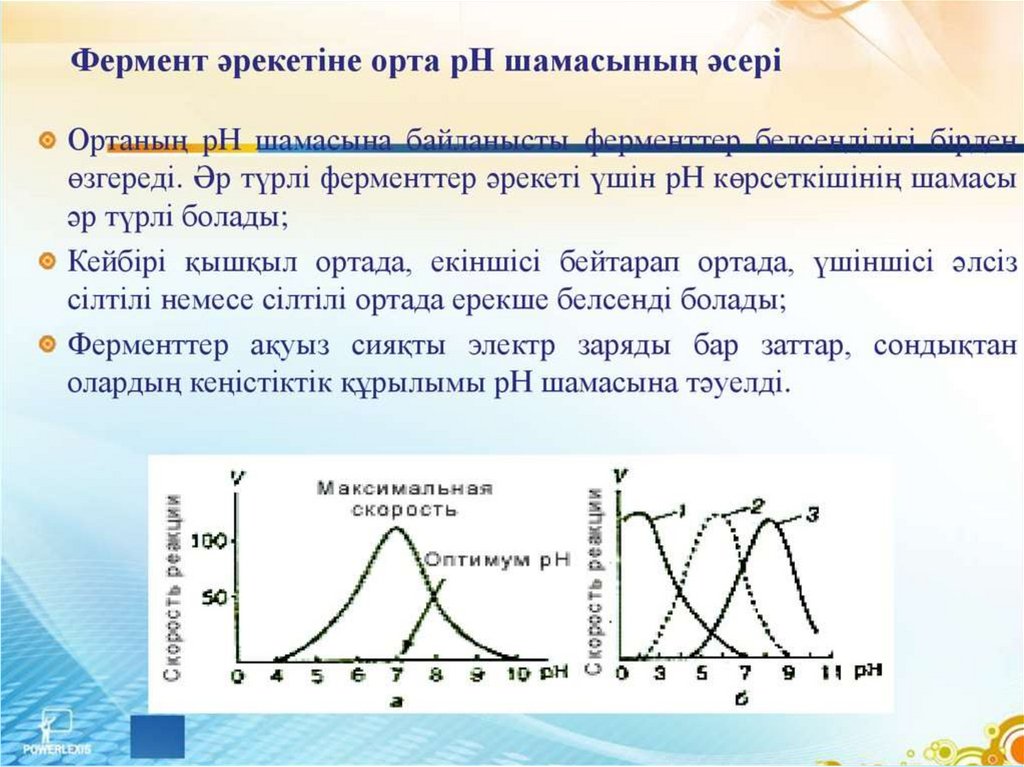 Ферменттердің медицинада химияда және өнеркәсіпте қолданылуы презентация