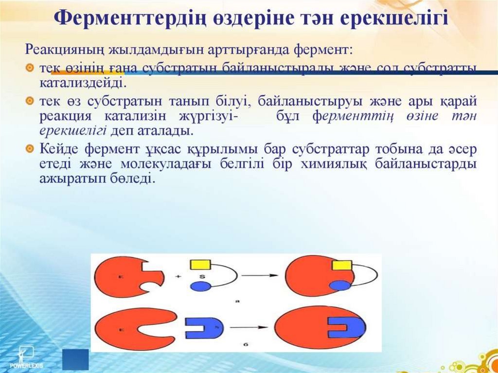 Ферменттердің медицинада химияда және өнеркәсіпте қолданылуы презентация