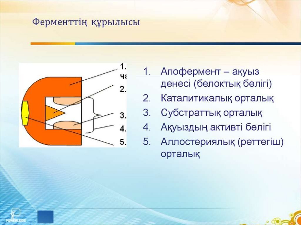 Ферменттердің медицинада химияда және өнеркәсіпте қолданылуы презентация