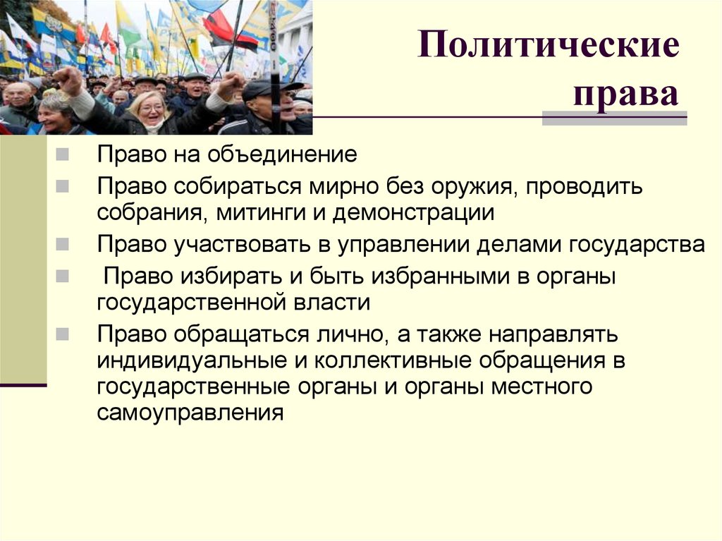 3 примера политических прав российских граждан. Политические авы.