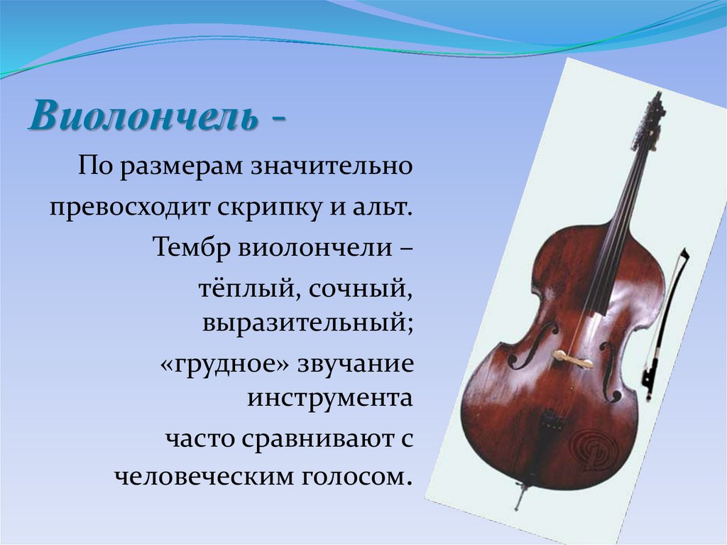 Скрипка урок музыки 3 класс. Виолончель музыкальный инструмент. Сообщение о виолончели. Виолончель музыкальный инструмент описание. Виолончель описание.