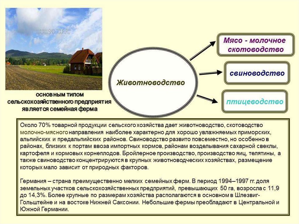 Животноводство факторы размещения. Мясное скотоводство факторы размещения. Факторы размещения животноводства. Факторы размещения молочно мясного скотоводства. Факторы размещения мясного скота.