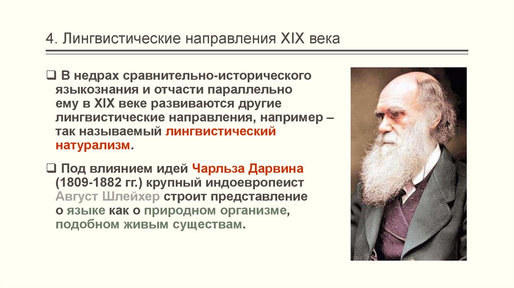 4. Лингвистические направления XIX века