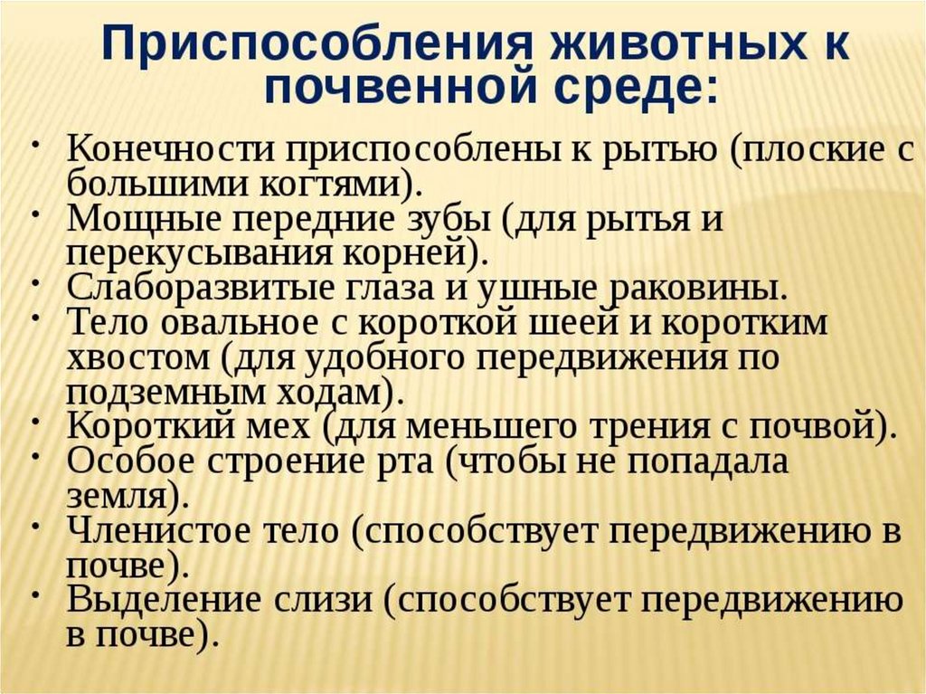 Особенности приспособления. Приспособление животных к почвенной среде обитания. Почвенная среда приспособления. Почвенная среда обитания приспособления организмов. Адаптация организмов к почвенной среде.