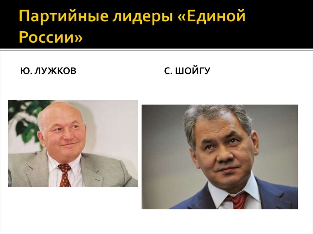 Партийные лидеры «Единой России»