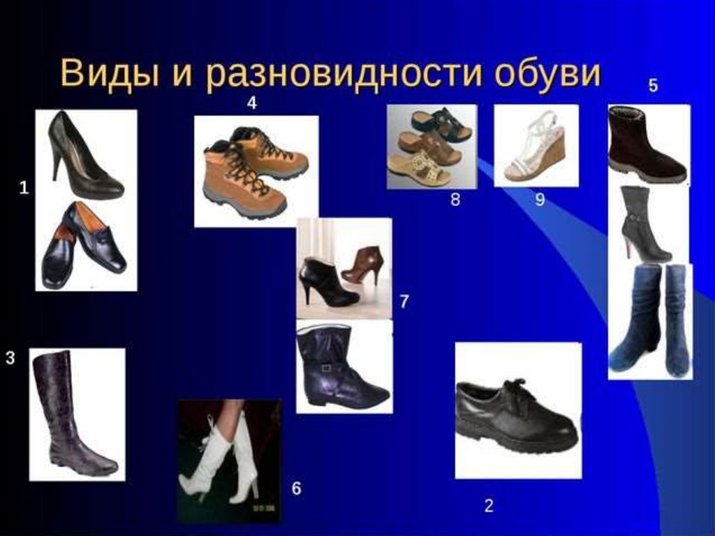 Обувь разновидности