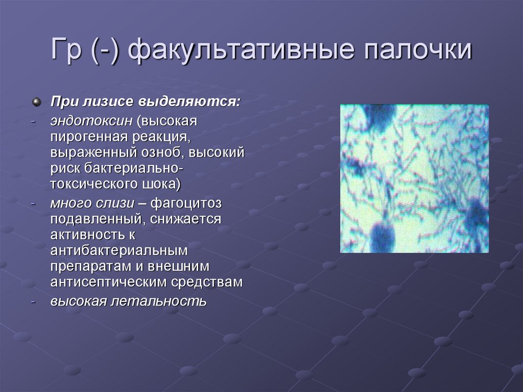 Выраженная реакция. Факультативные тканевые. При лизисе. Проблемы при лизисе.