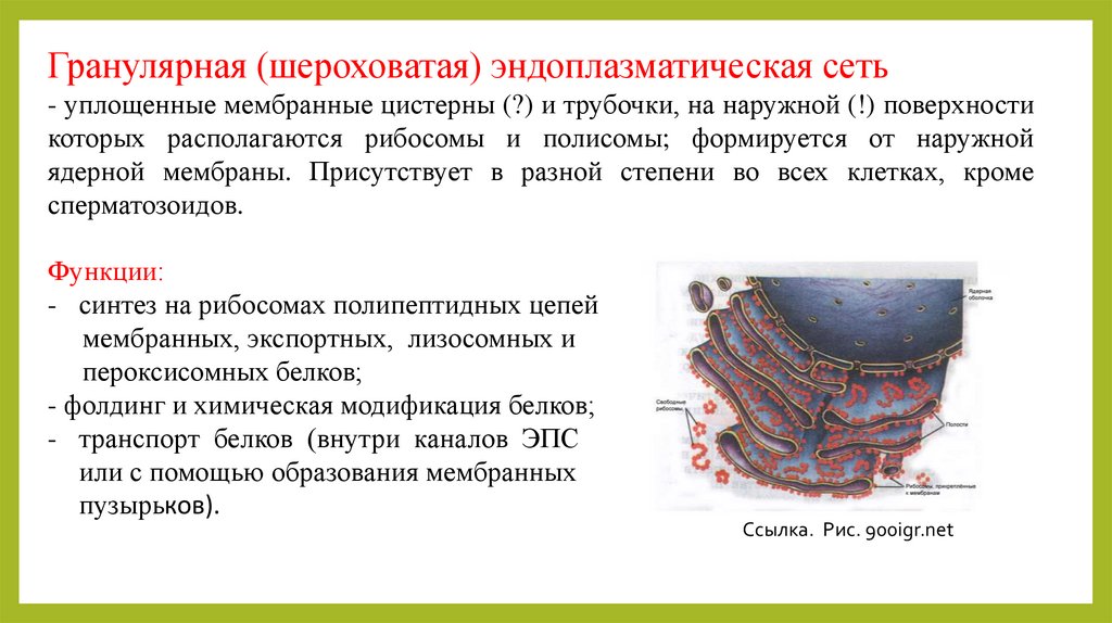 Анализ спермы