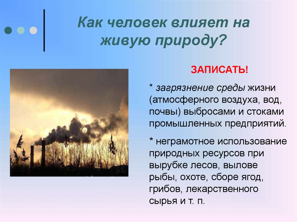 Как человек влияет на живую природу?