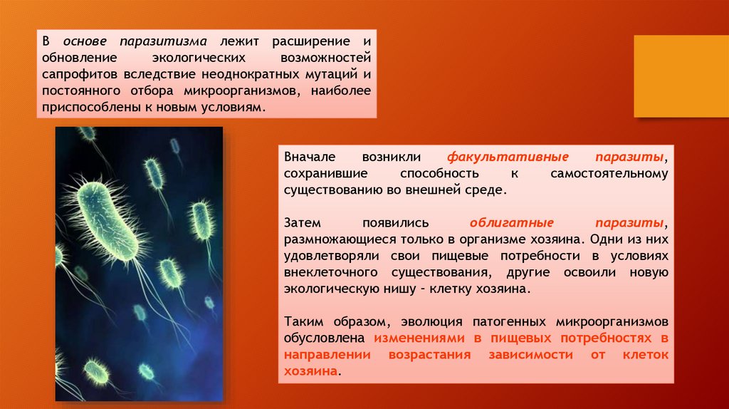 Паразитизм презентация по экологии