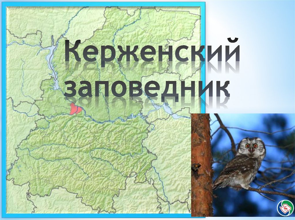 Нижегородский заповедник. Керженский заповедник Нижегородской области презентация. Керженский заповедник Нижегородской области на карте. Керженский заповедник эмблема. Рассказ о Керженском заповеднике Нижегородской области.