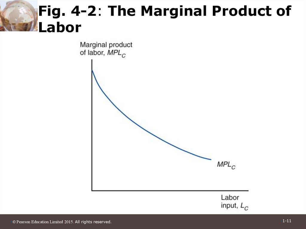 Fig. 4-2: The Marginal Product of Labor