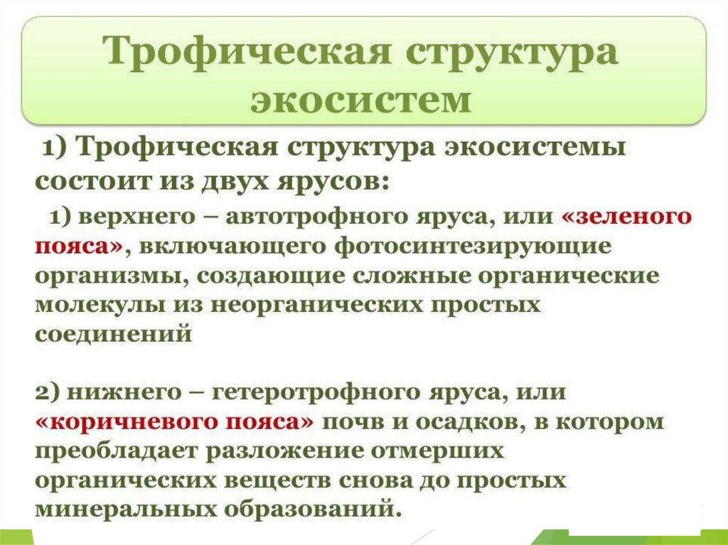 Трофическая структура экосистемы презентация