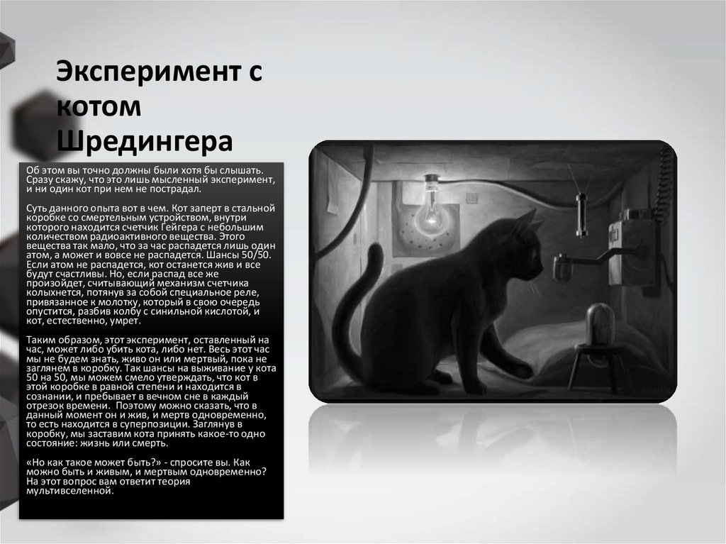 Кот шредингера. Кот Шредингера эксперимент. Опыт Шредингера с котом. Кот Шрёдингера суть. Кот Шредингера и собака Павлова.