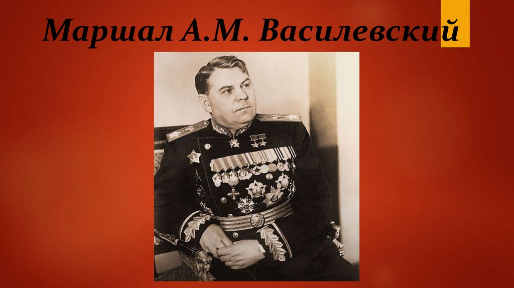 Маршал А.М. Василевский