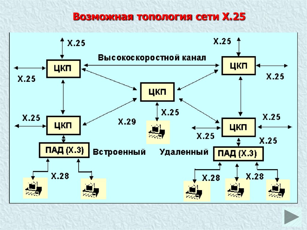 Сеть x