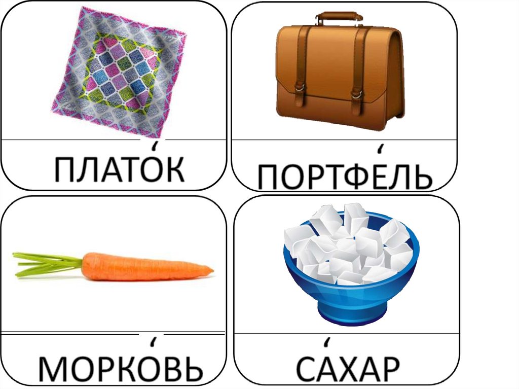 Предмет словарное слово