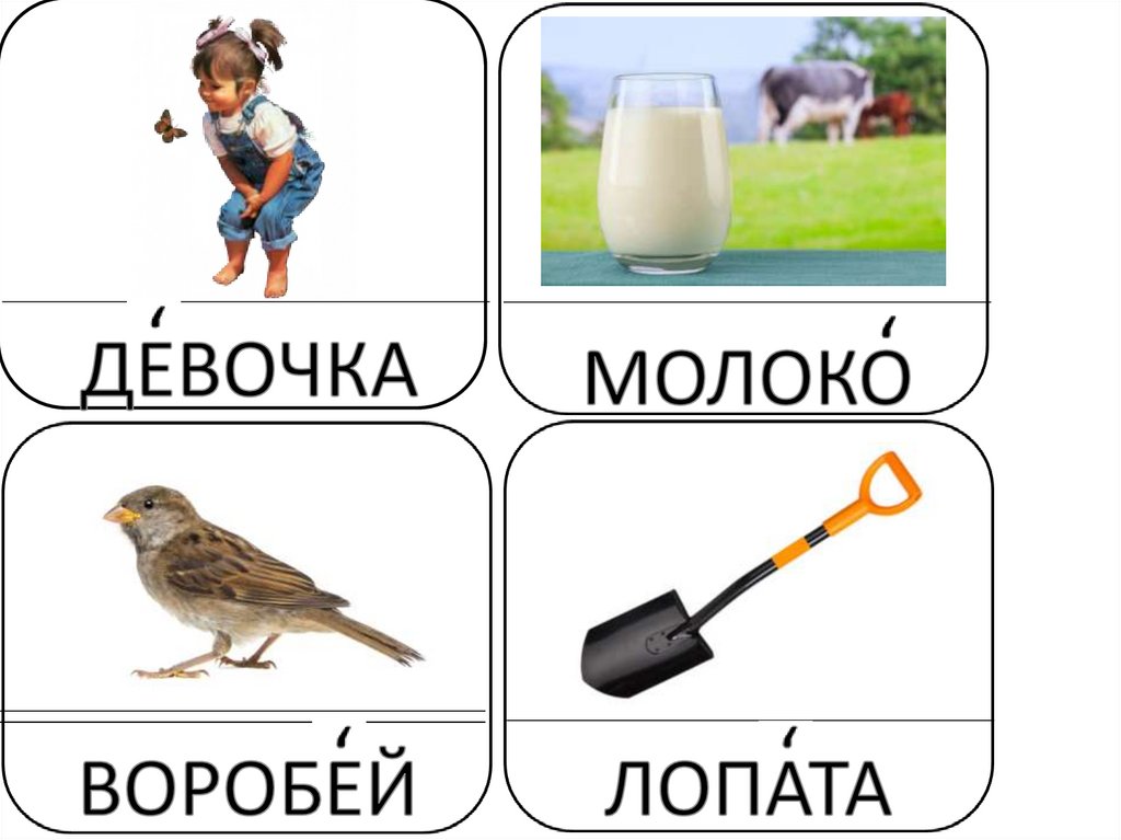 Лопатки словарное слово или нет. Словарное слово класс презентация 1 класс. Слова 1 ССС презентация. Словарное слово девочка 1 класс.