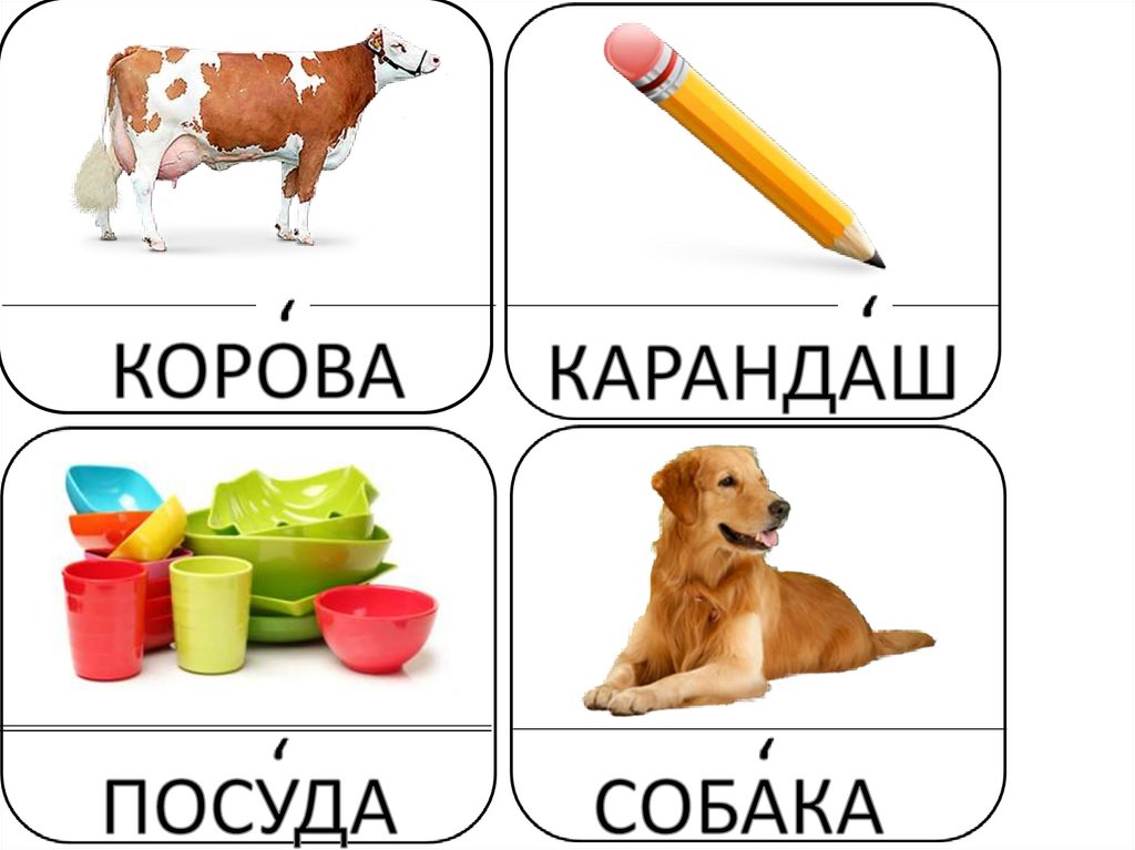 1 слово м. Словарное слово собака 1 класс презентация. Слова 1 ССС презентация. Словарные слова 1 класс презентация. Словарное слово животное в картинках.