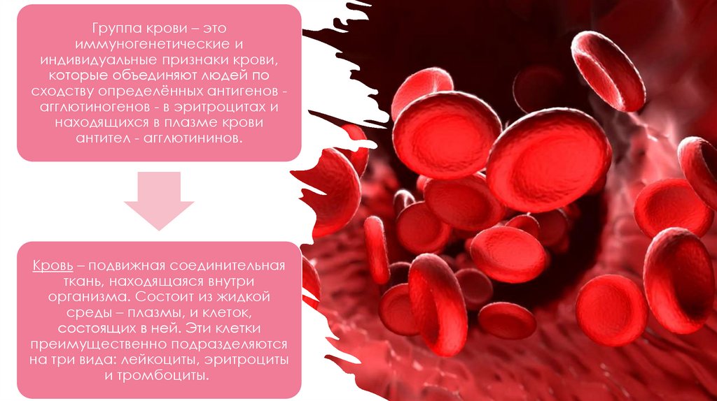 Иллюстрация к анализу группы крови. Презентация на тему группы крови и их влияние на характер человека. Буклет влияние групп крови на характер человека. Крови и характер человека статистика. Группа крови влияние на характер
