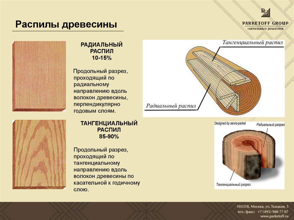 Последовательность расположения слоев на распиле дерева