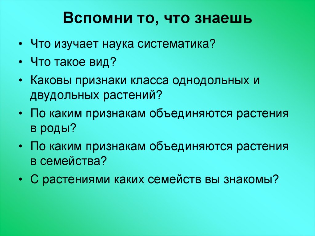 Презентация 7 класс биология класс двудольные