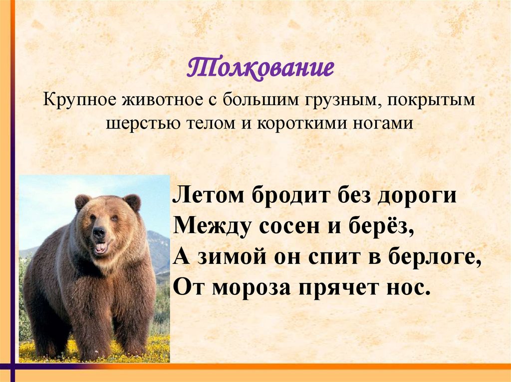 Составить предложение из слов медведь. Медведь для презентации. Слово медведь. Словарное слово медведь. Лексическое слово медведь.