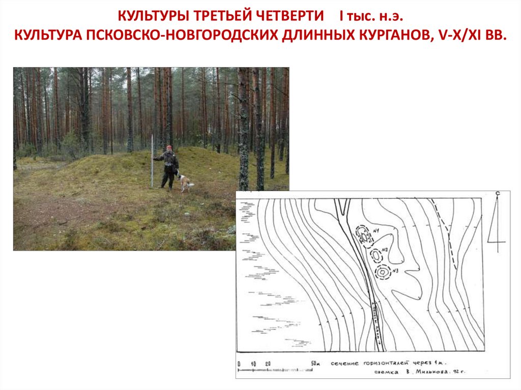 Культура псковских длинных курганов карта