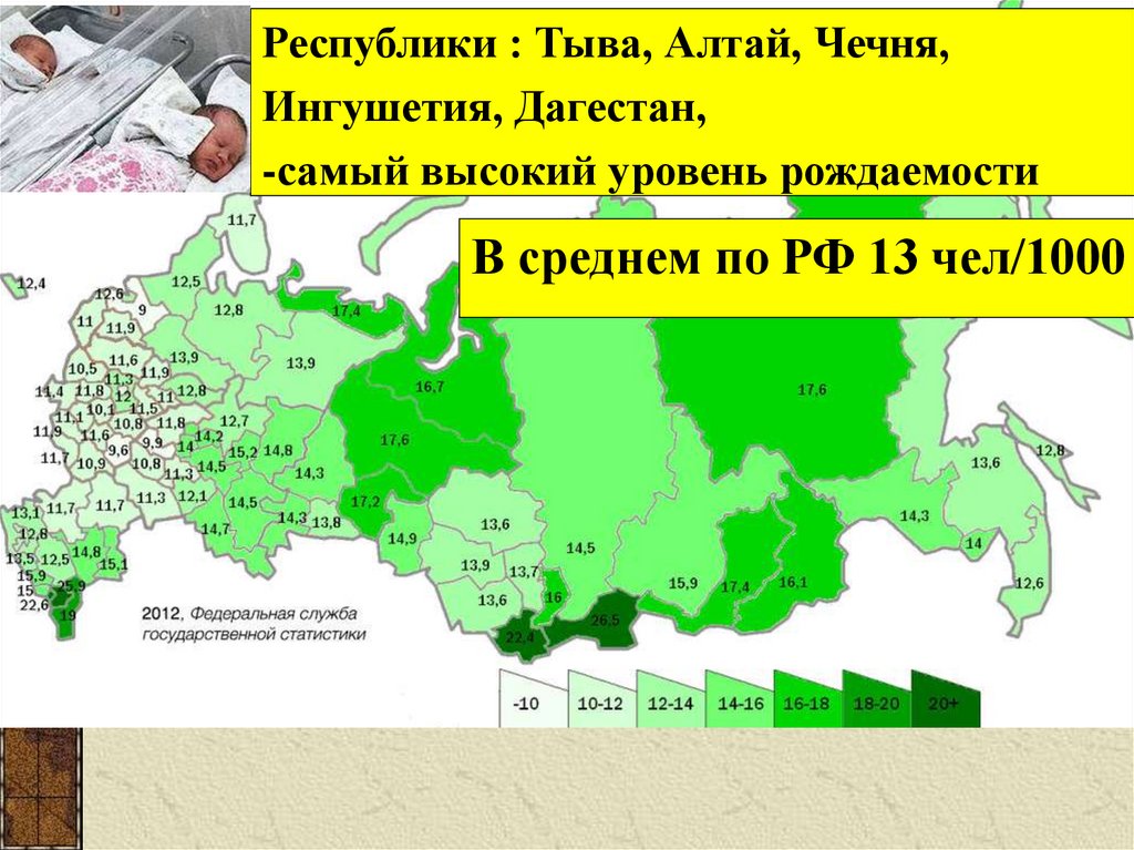 Численность населения республики ингушетия. Рождаемость в Республике Тыва. Республика Ингушетия плотность населения. Карта плотности населения Чечни. Республика Ингушетия численность населения.