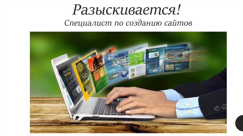 Разыскивается!