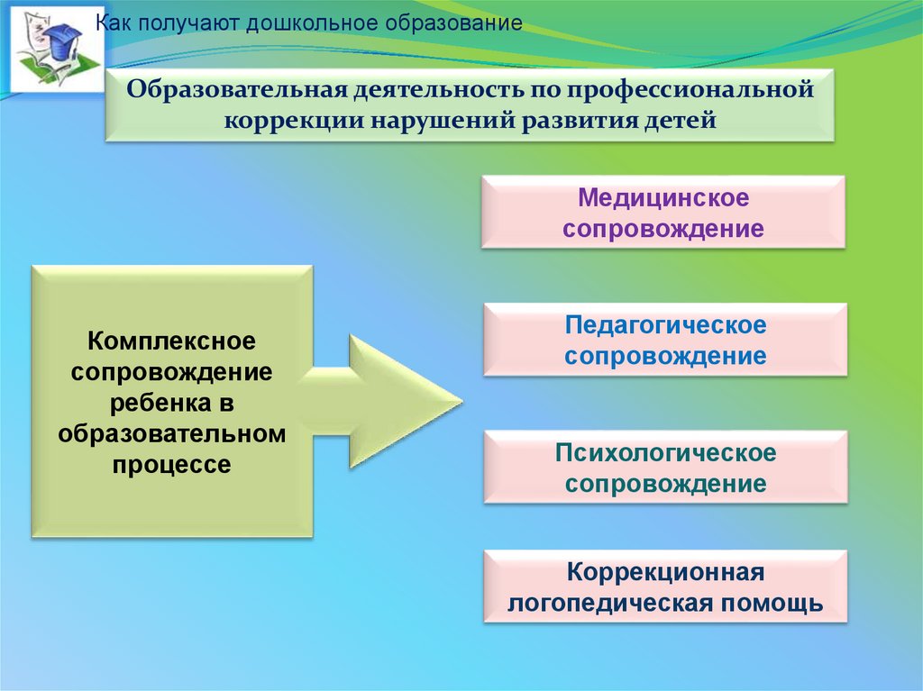 Получение дошкольного образования. Дошкольные образовательные организации функционируют. Образовательной деятельности по коррекции нарушений развития детей. Дошкольное образование как педагогическая система. Где осуществляется дошкольное образование.